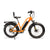 Avvenire Wildgoose S