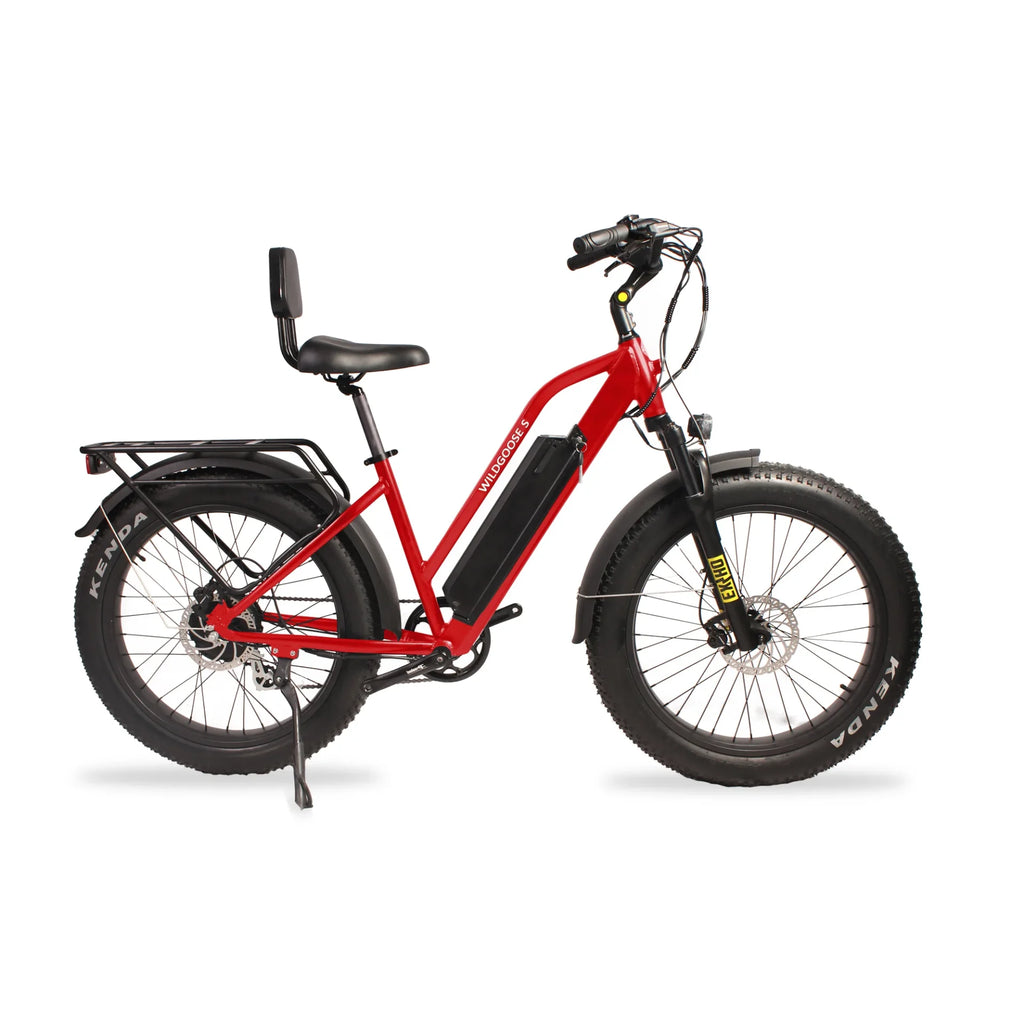 Avvenire Wildgoose S