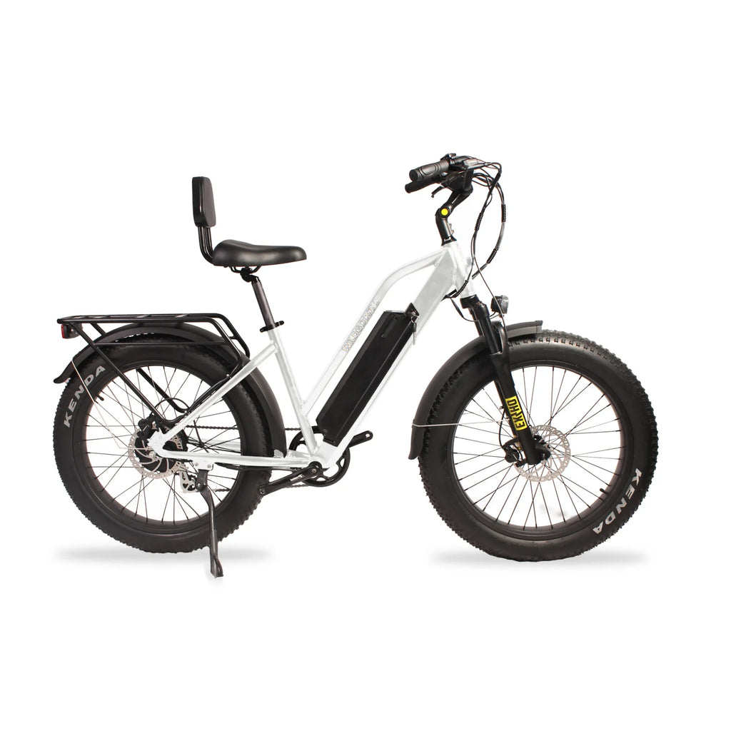 Avvenire Wildgoose S